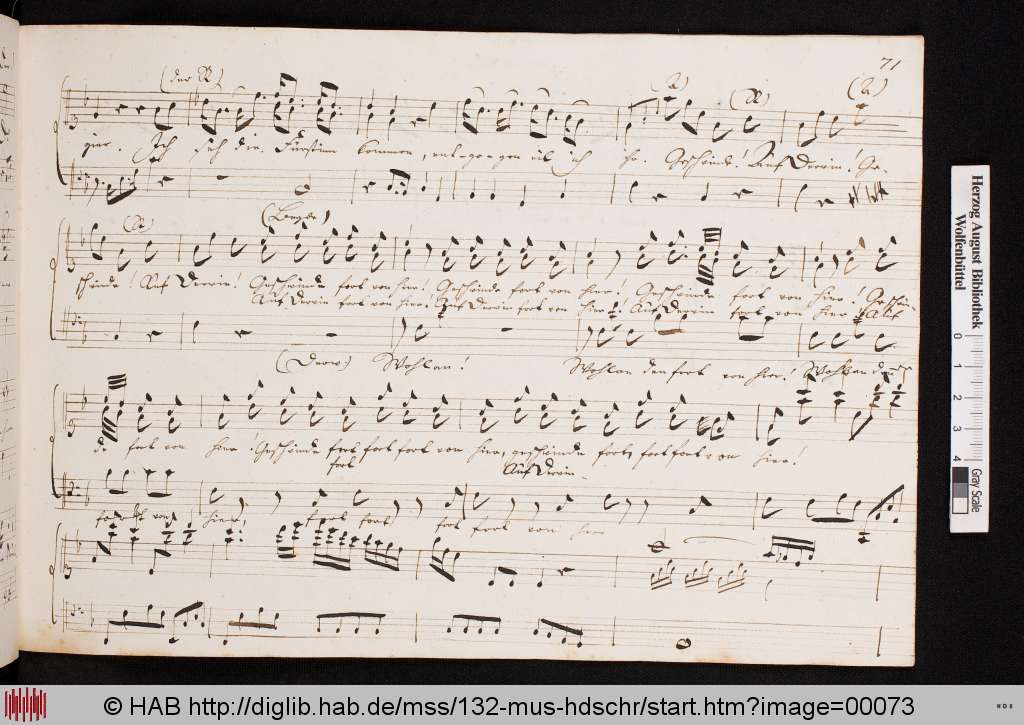 http://diglib.hab.de/mss/132-mus-hdschr/00073.jpg