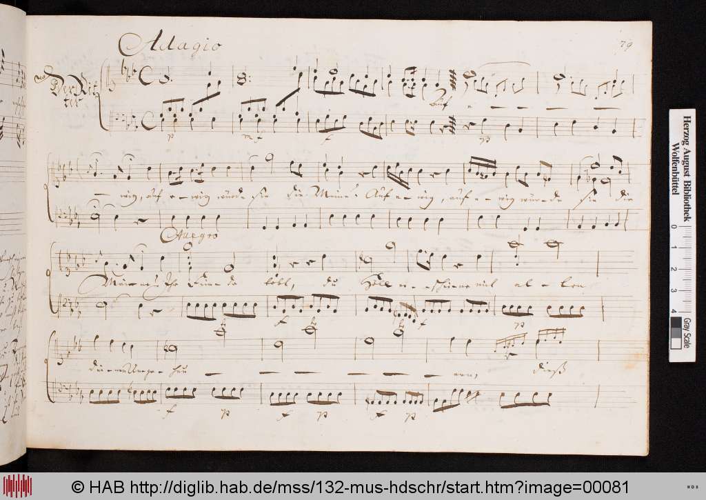 http://diglib.hab.de/mss/132-mus-hdschr/00081.jpg