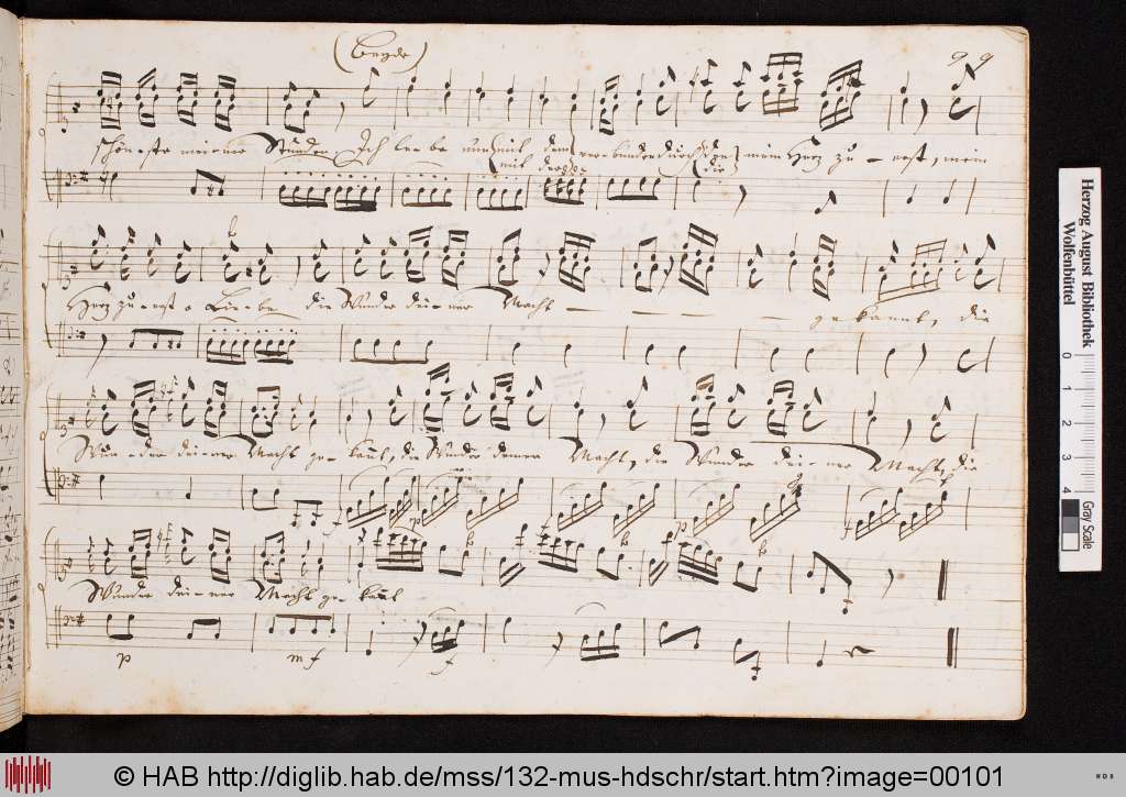 http://diglib.hab.de/mss/132-mus-hdschr/00101.jpg