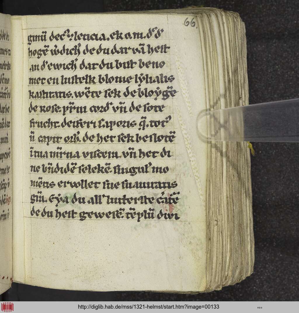 http://diglib.hab.de/mss/1321-helmst/00133.jpg