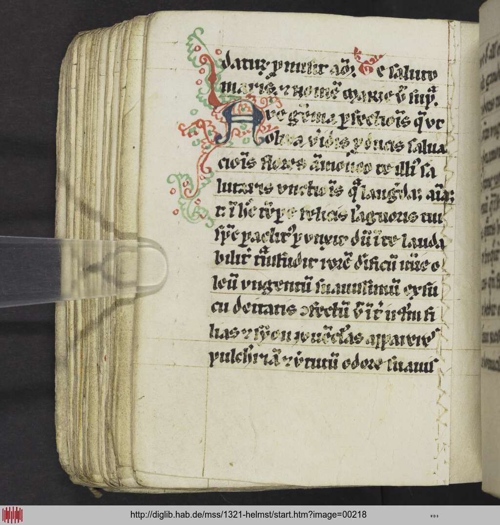 http://diglib.hab.de/mss/1321-helmst/00218.jpg
