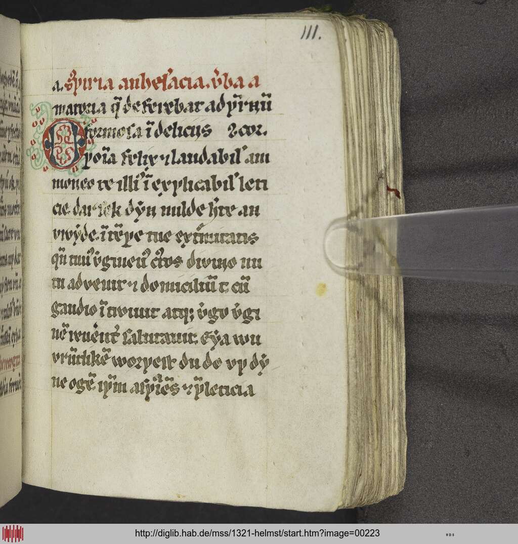 http://diglib.hab.de/mss/1321-helmst/00223.jpg