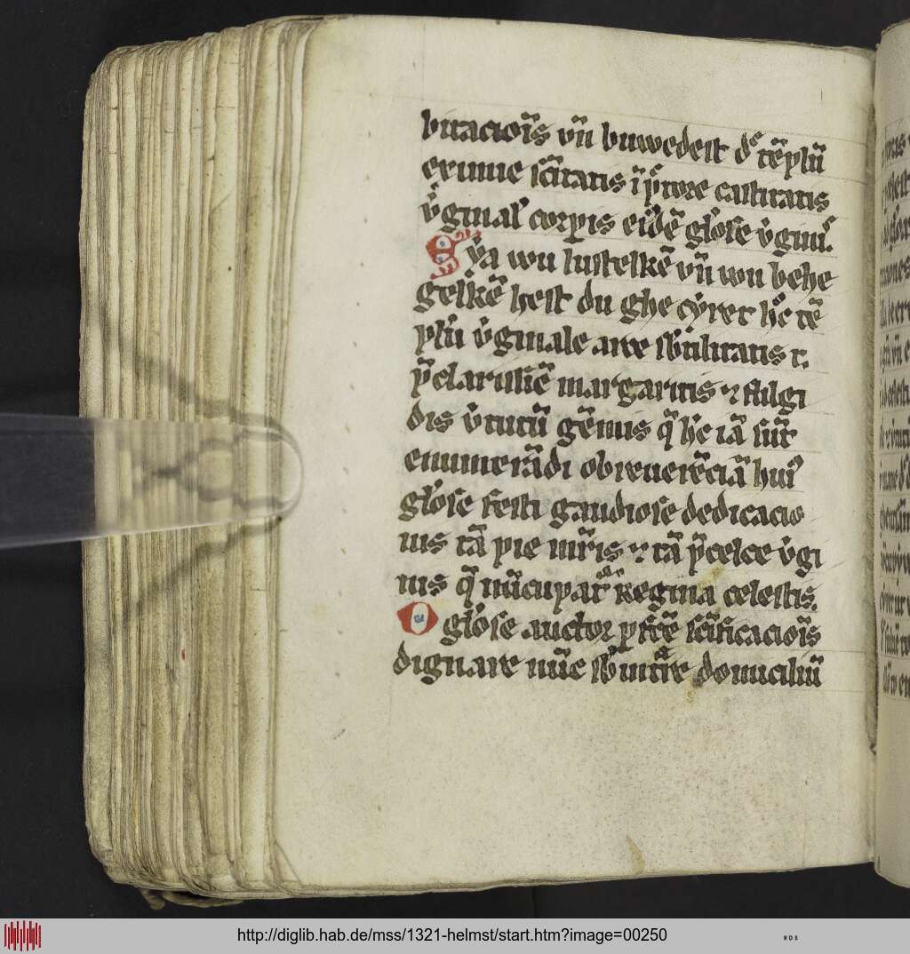 http://diglib.hab.de/mss/1321-helmst/00250.jpg