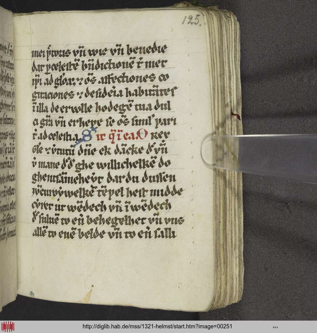http://diglib.hab.de/mss/1321-helmst/00251.jpg