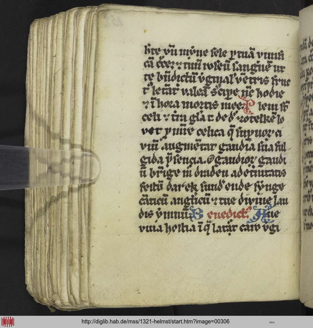 http://diglib.hab.de/mss/1321-helmst/00306.jpg