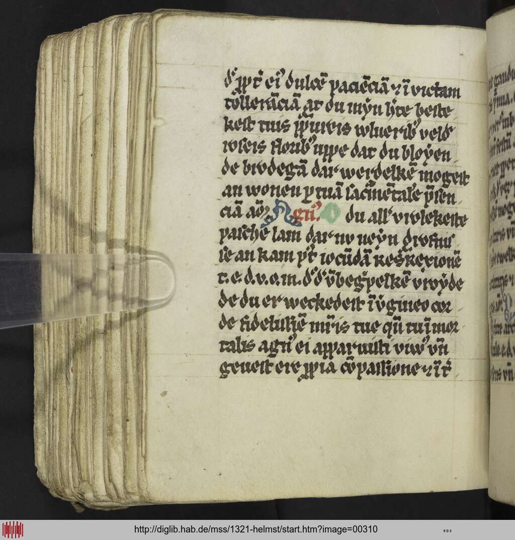 http://diglib.hab.de/mss/1321-helmst/00310.jpg