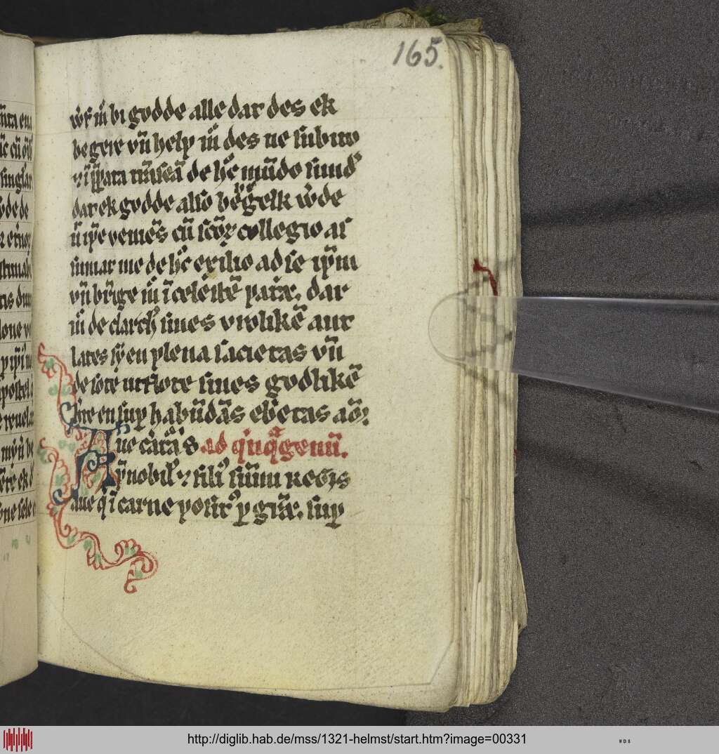 http://diglib.hab.de/mss/1321-helmst/00331.jpg