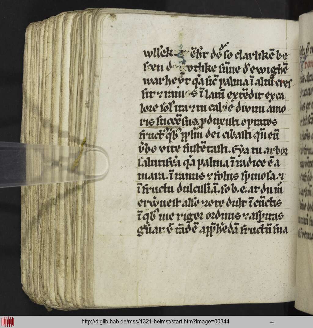http://diglib.hab.de/mss/1321-helmst/00344.jpg