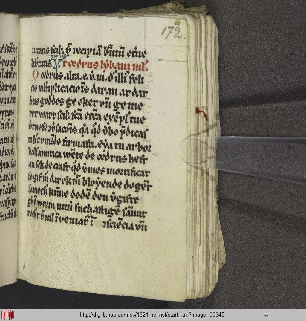 http://diglib.hab.de/mss/1321-helmst/00345.jpg
