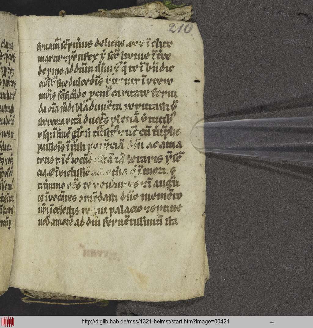 http://diglib.hab.de/mss/1321-helmst/00421.jpg
