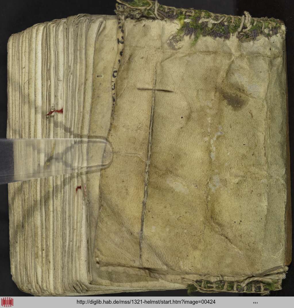 http://diglib.hab.de/mss/1321-helmst/00424.jpg