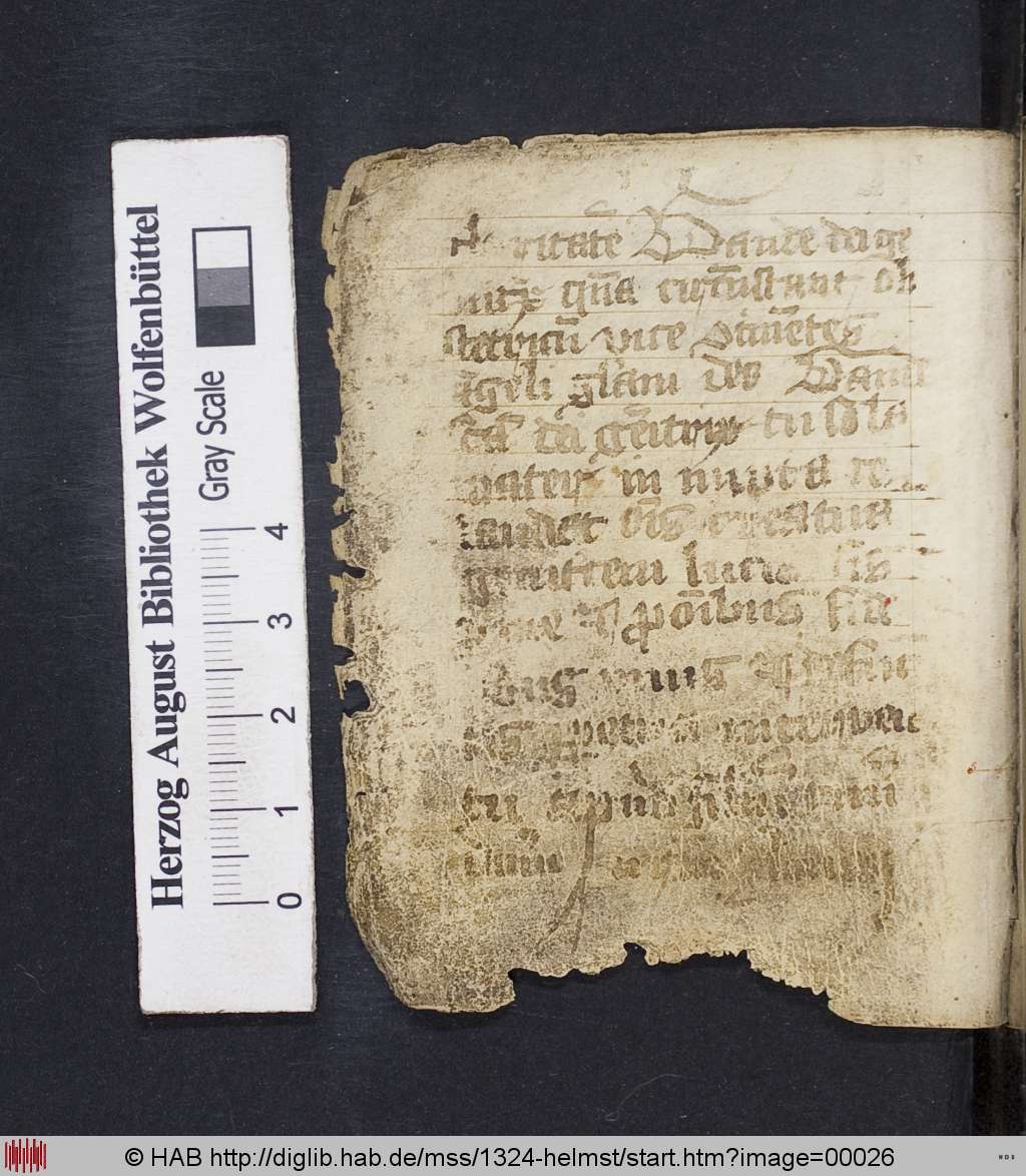 http://diglib.hab.de/mss/1324-helmst/00026.jpg