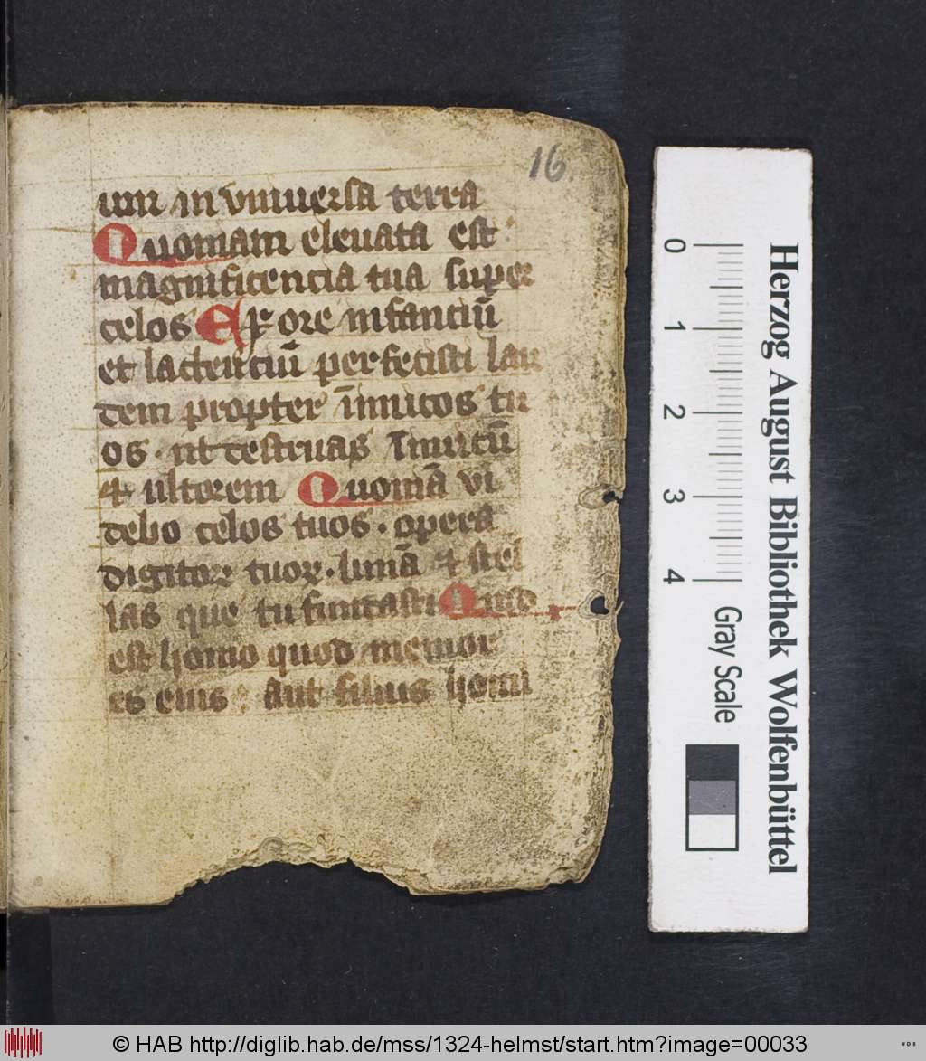 http://diglib.hab.de/mss/1324-helmst/00033.jpg