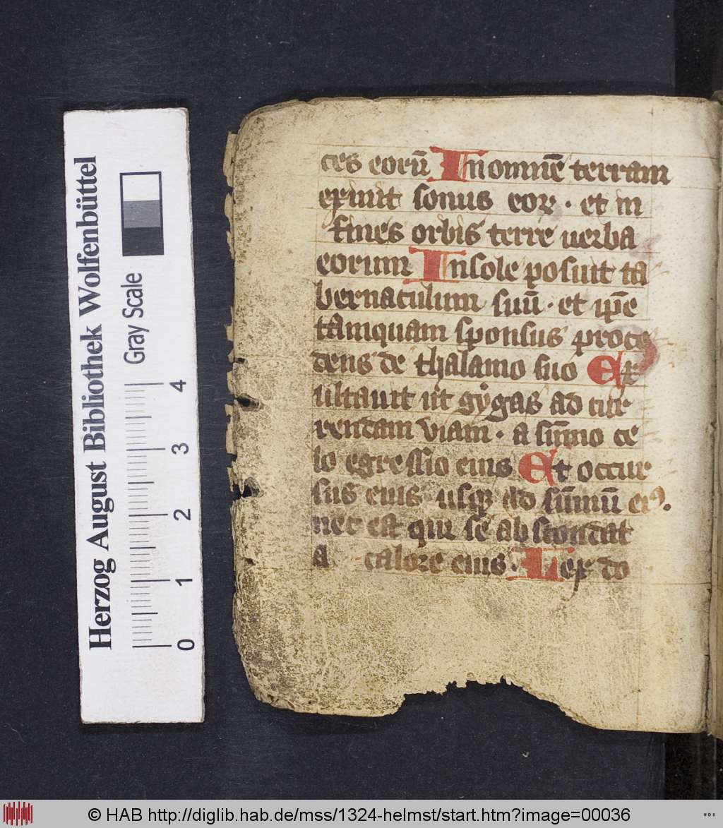 http://diglib.hab.de/mss/1324-helmst/00036.jpg