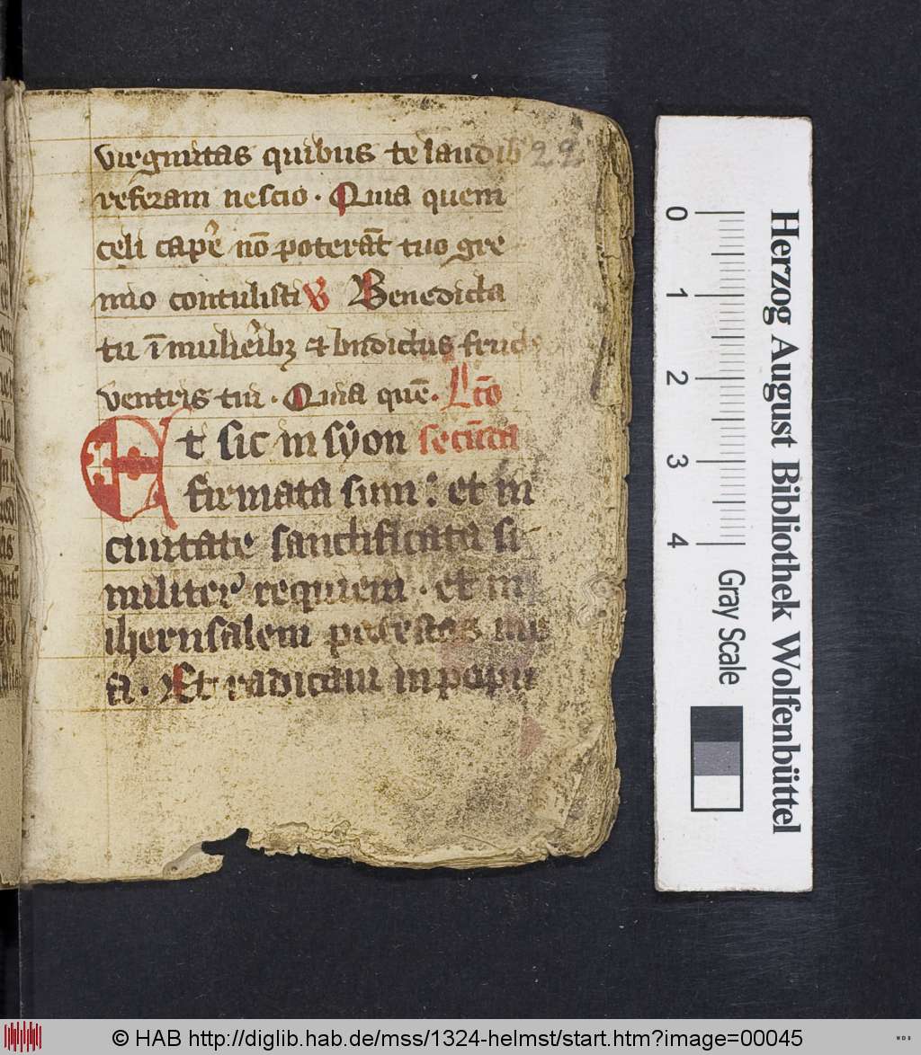 http://diglib.hab.de/mss/1324-helmst/00045.jpg