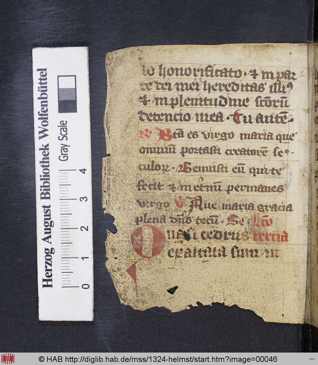 http://diglib.hab.de/mss/1324-helmst/00046.jpg