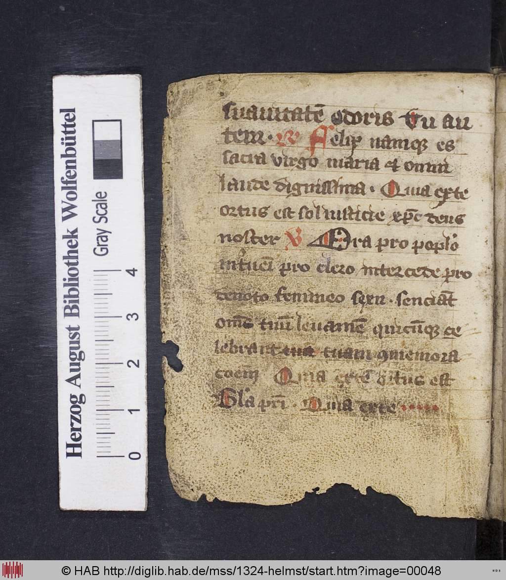 http://diglib.hab.de/mss/1324-helmst/00048.jpg