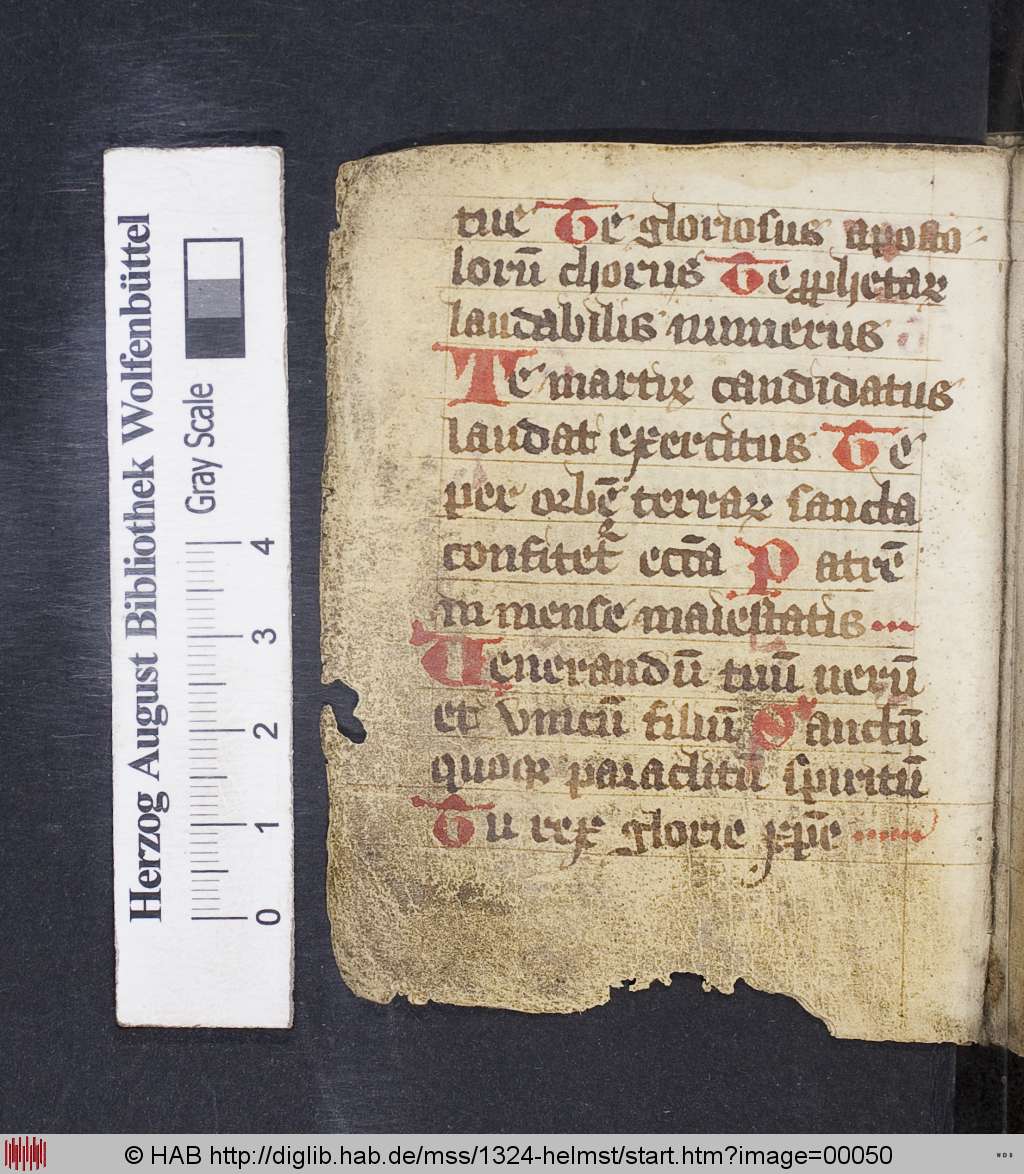 http://diglib.hab.de/mss/1324-helmst/00050.jpg