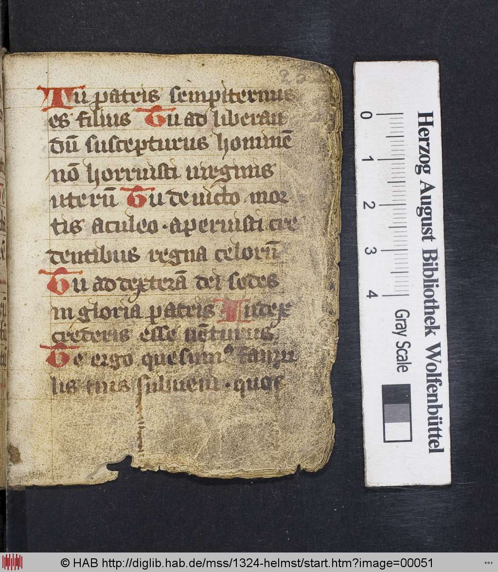 http://diglib.hab.de/mss/1324-helmst/00051.jpg