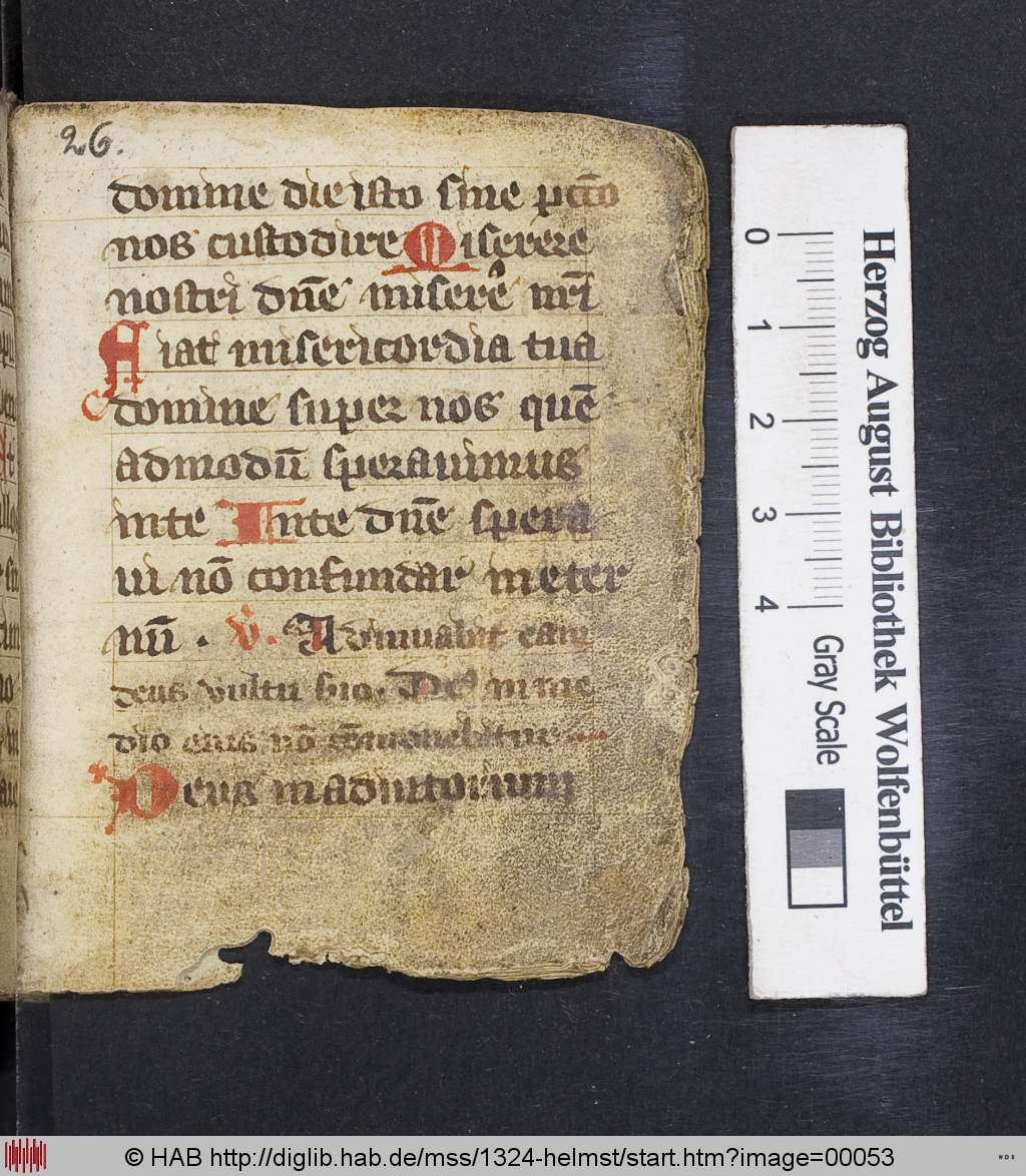 http://diglib.hab.de/mss/1324-helmst/00053.jpg