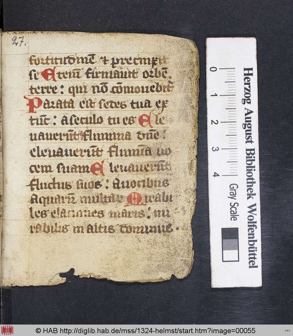 http://diglib.hab.de/mss/1324-helmst/00055.jpg