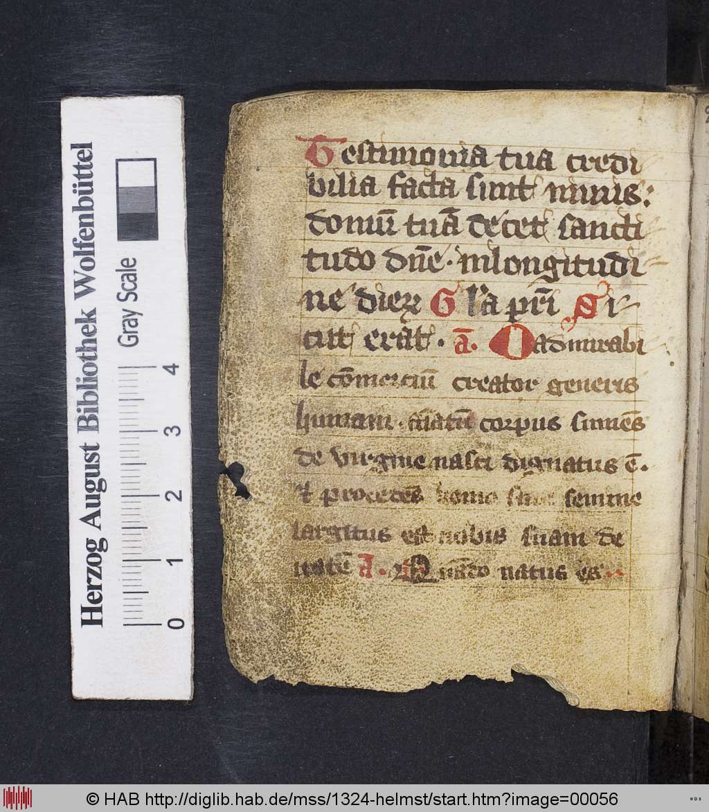 http://diglib.hab.de/mss/1324-helmst/00056.jpg