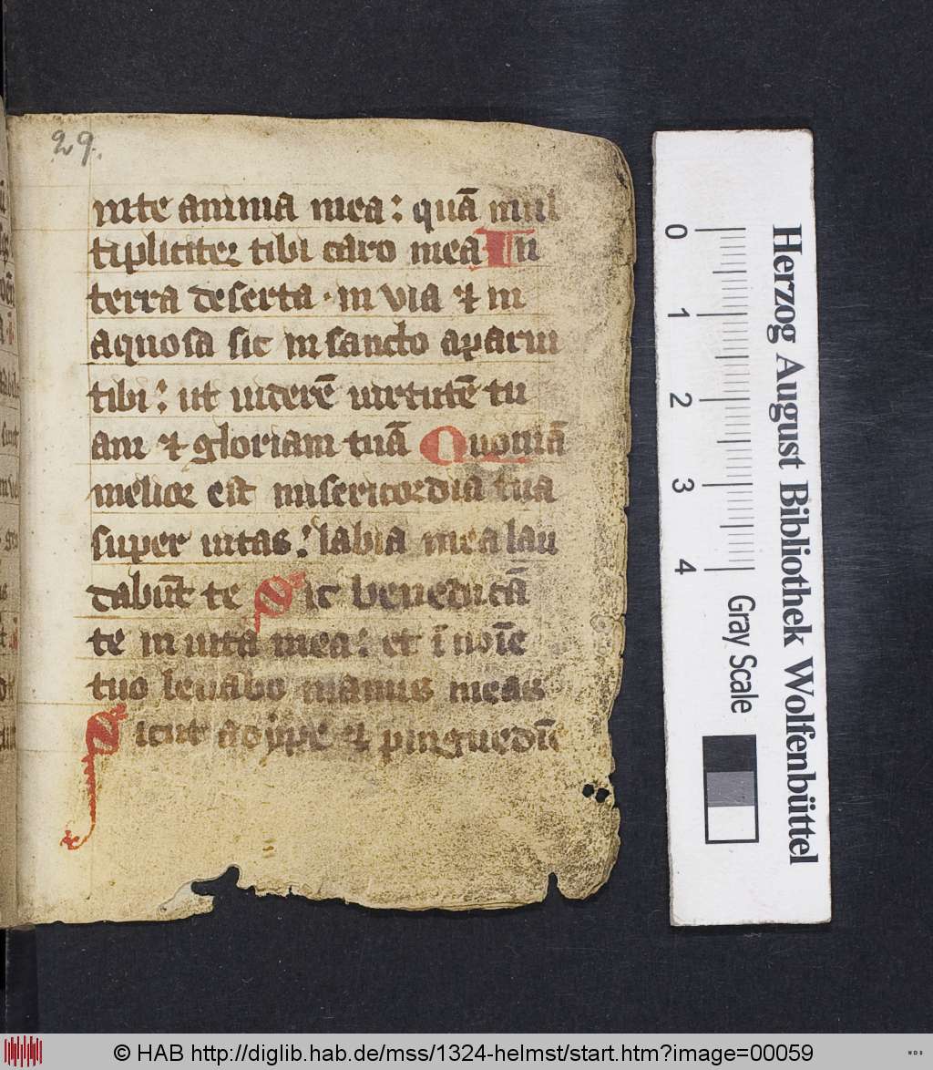 http://diglib.hab.de/mss/1324-helmst/00059.jpg