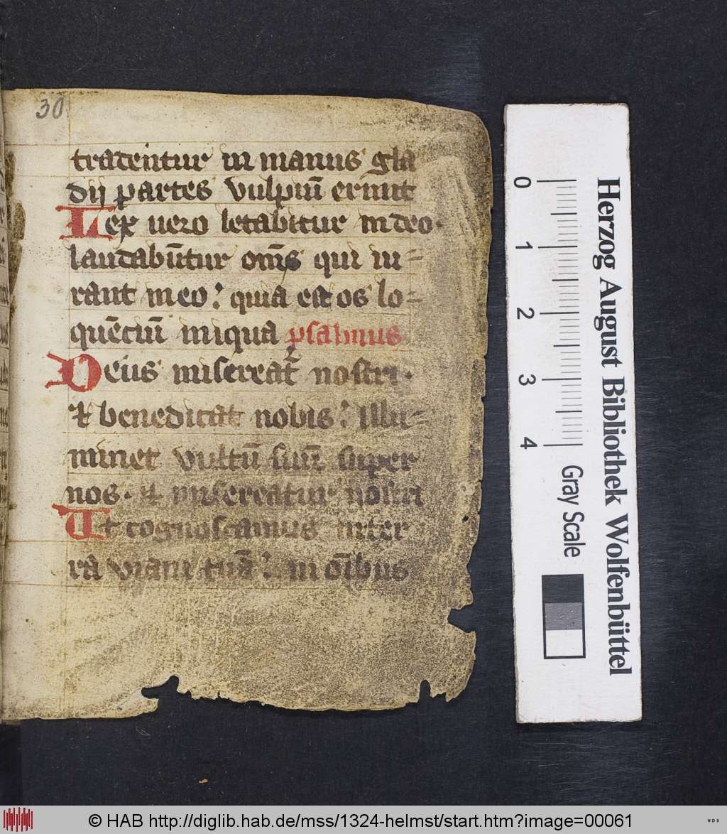 http://diglib.hab.de/mss/1324-helmst/00061.jpg