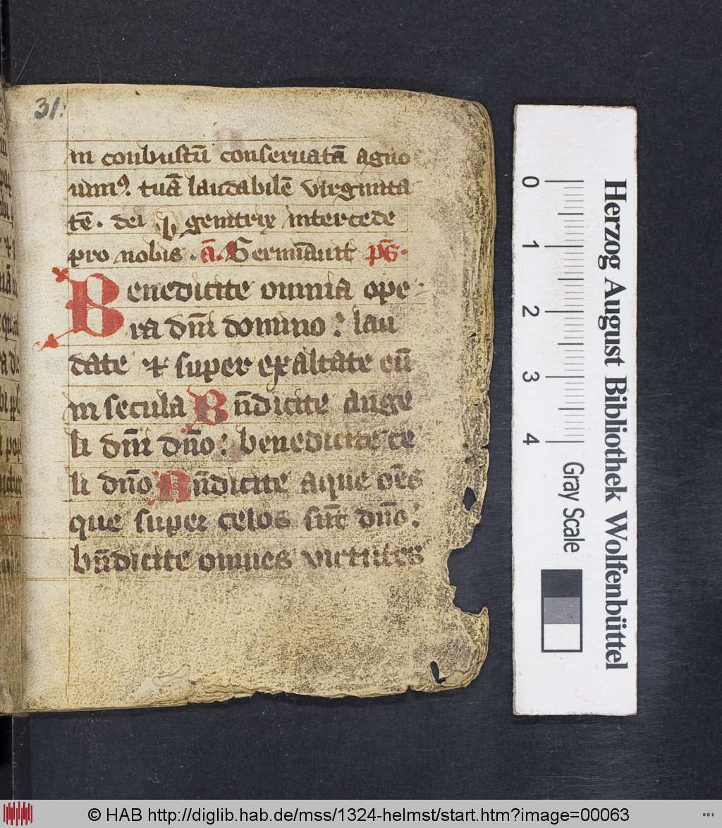 http://diglib.hab.de/mss/1324-helmst/00063.jpg