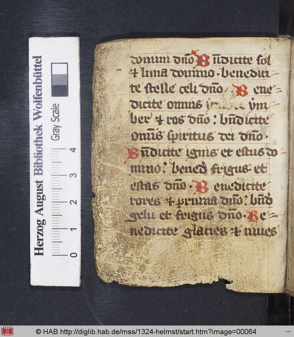 http://diglib.hab.de/mss/1324-helmst/00064.jpg