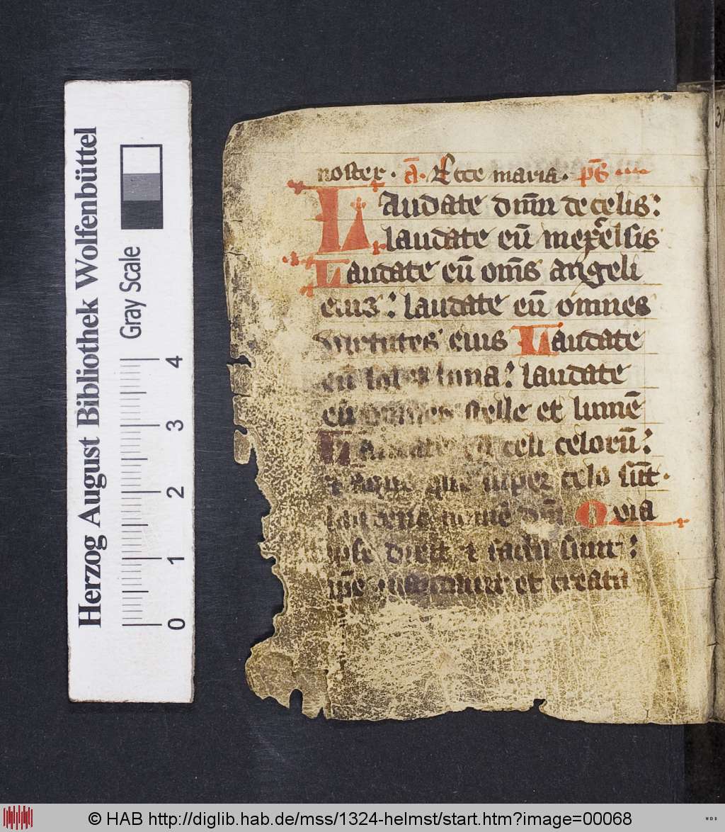 http://diglib.hab.de/mss/1324-helmst/00068.jpg