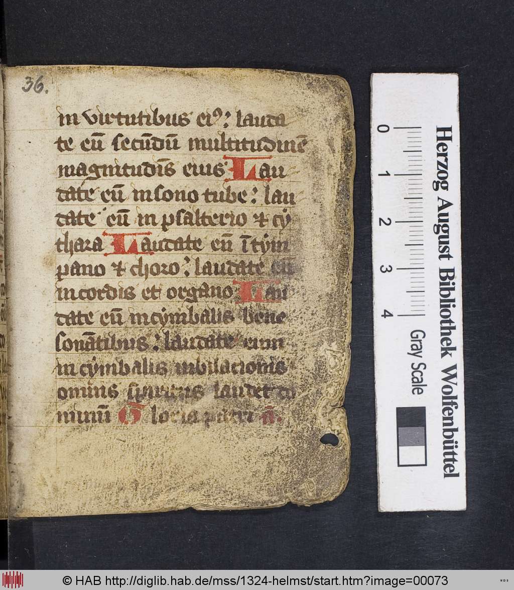 http://diglib.hab.de/mss/1324-helmst/00073.jpg