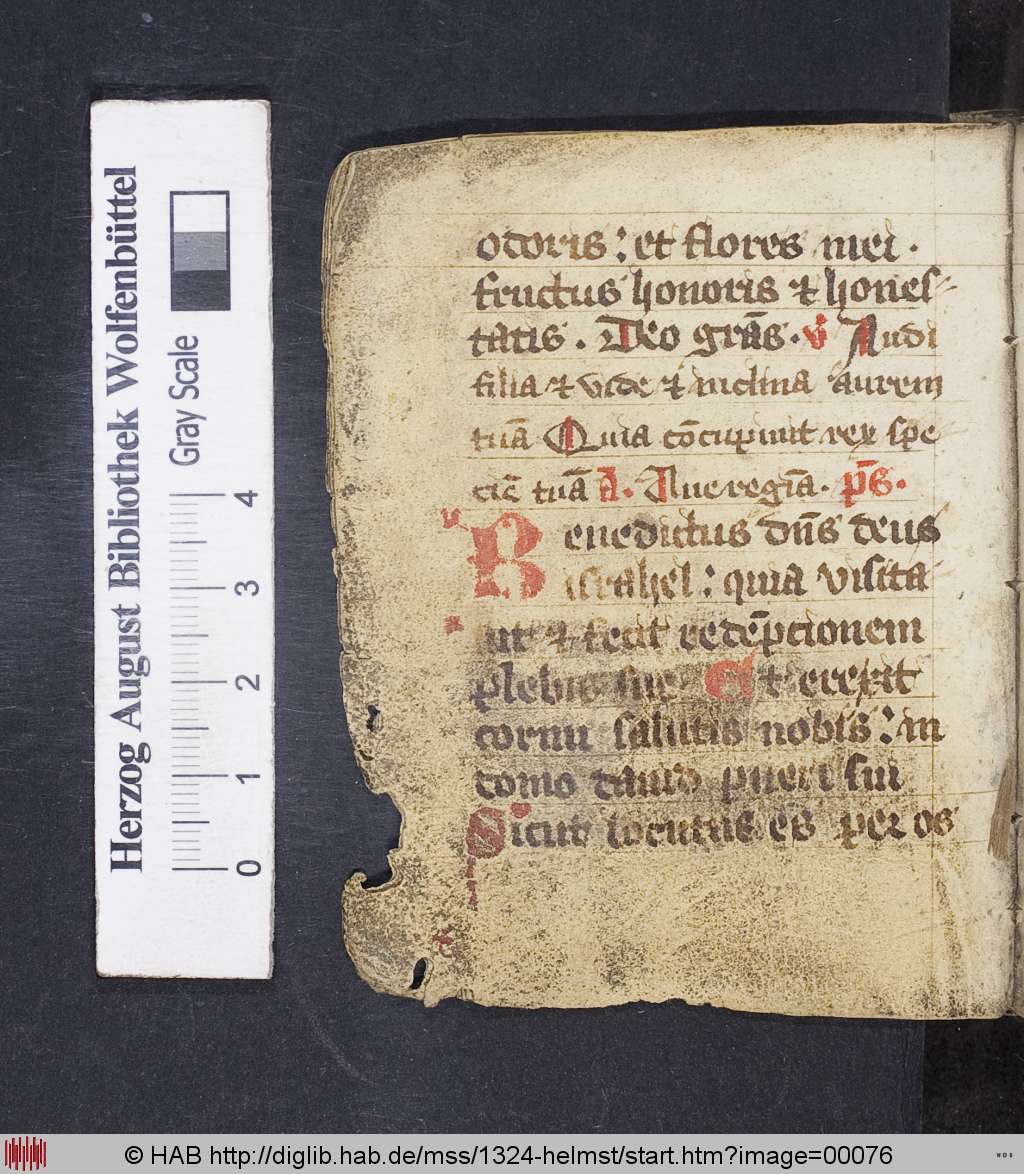 http://diglib.hab.de/mss/1324-helmst/00076.jpg