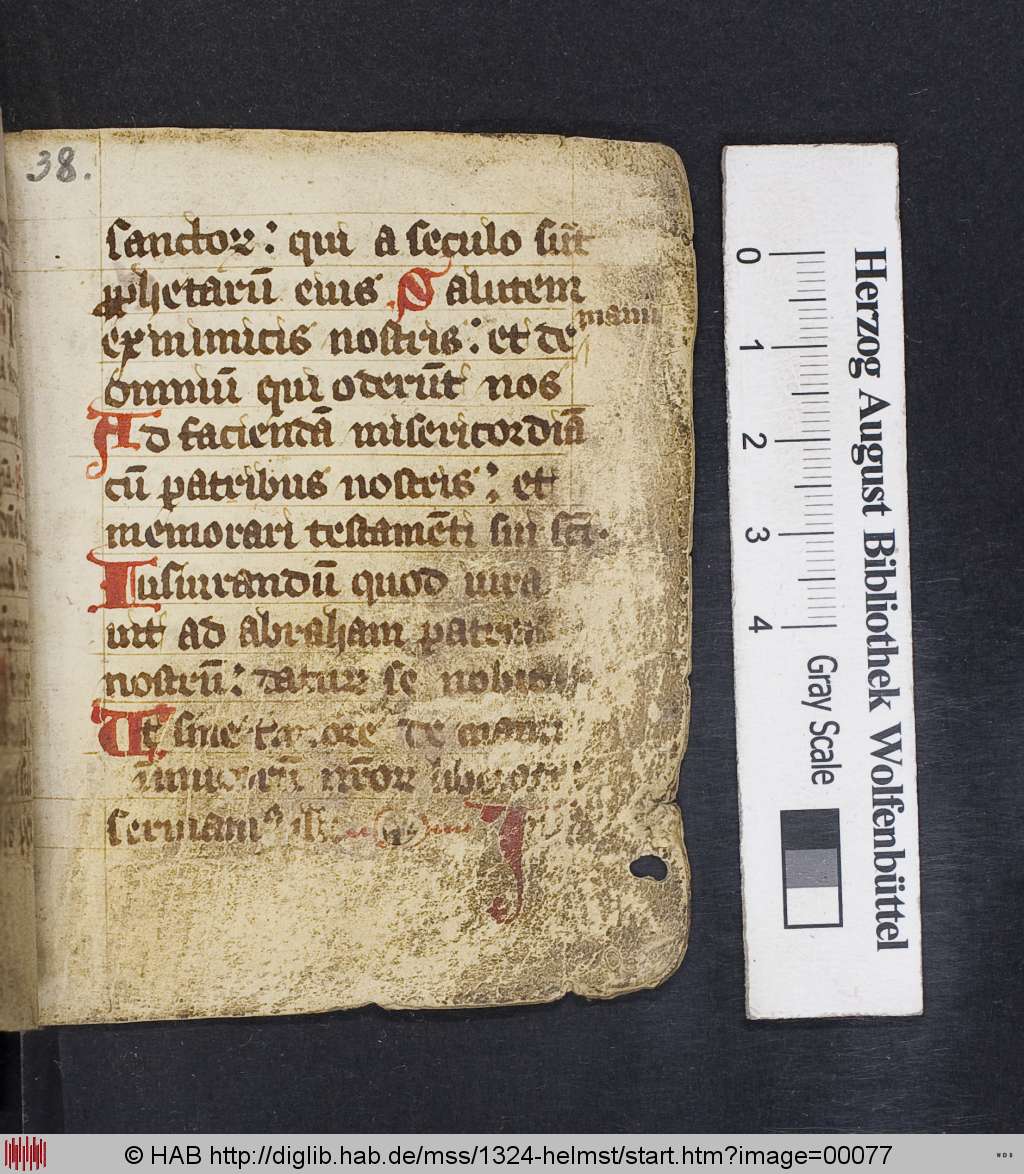 http://diglib.hab.de/mss/1324-helmst/00077.jpg