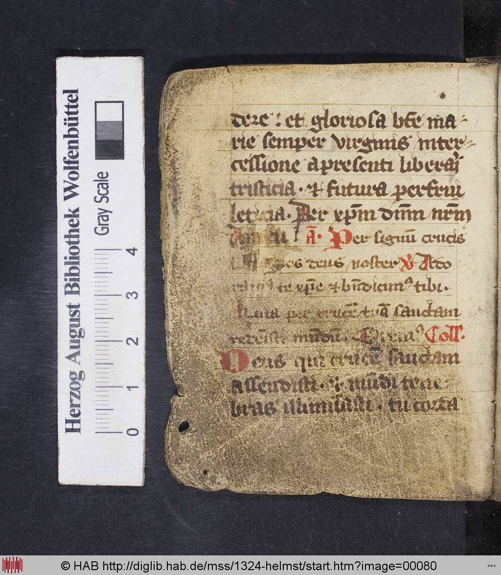 http://diglib.hab.de/mss/1324-helmst/00080.jpg