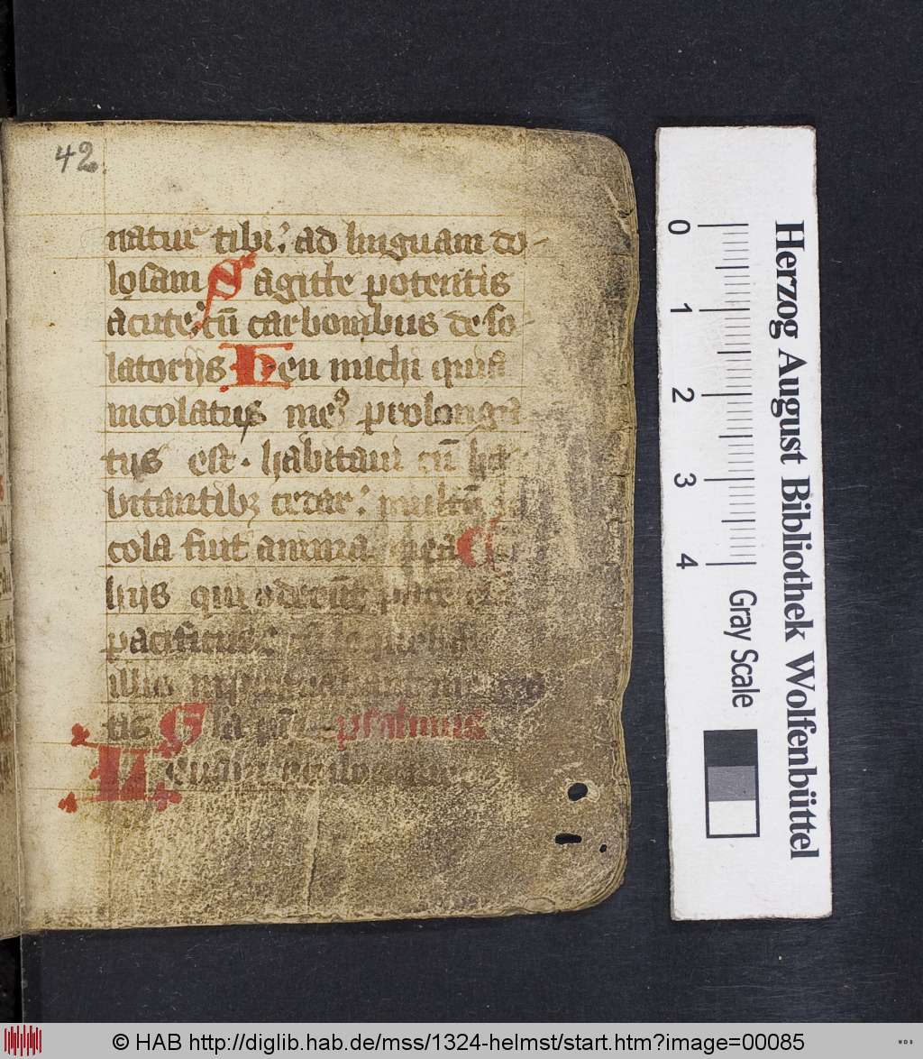 http://diglib.hab.de/mss/1324-helmst/00085.jpg