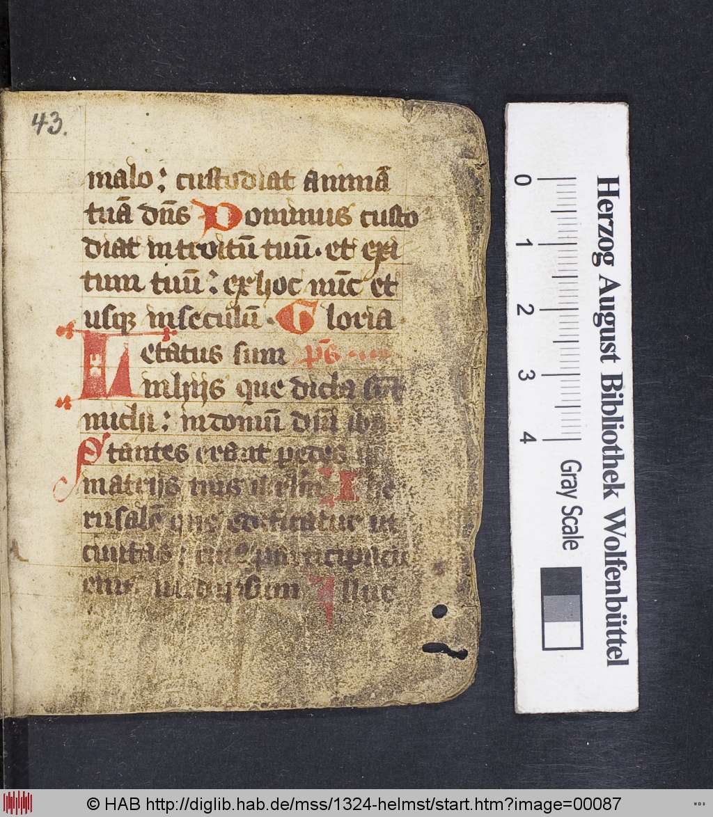 http://diglib.hab.de/mss/1324-helmst/00087.jpg