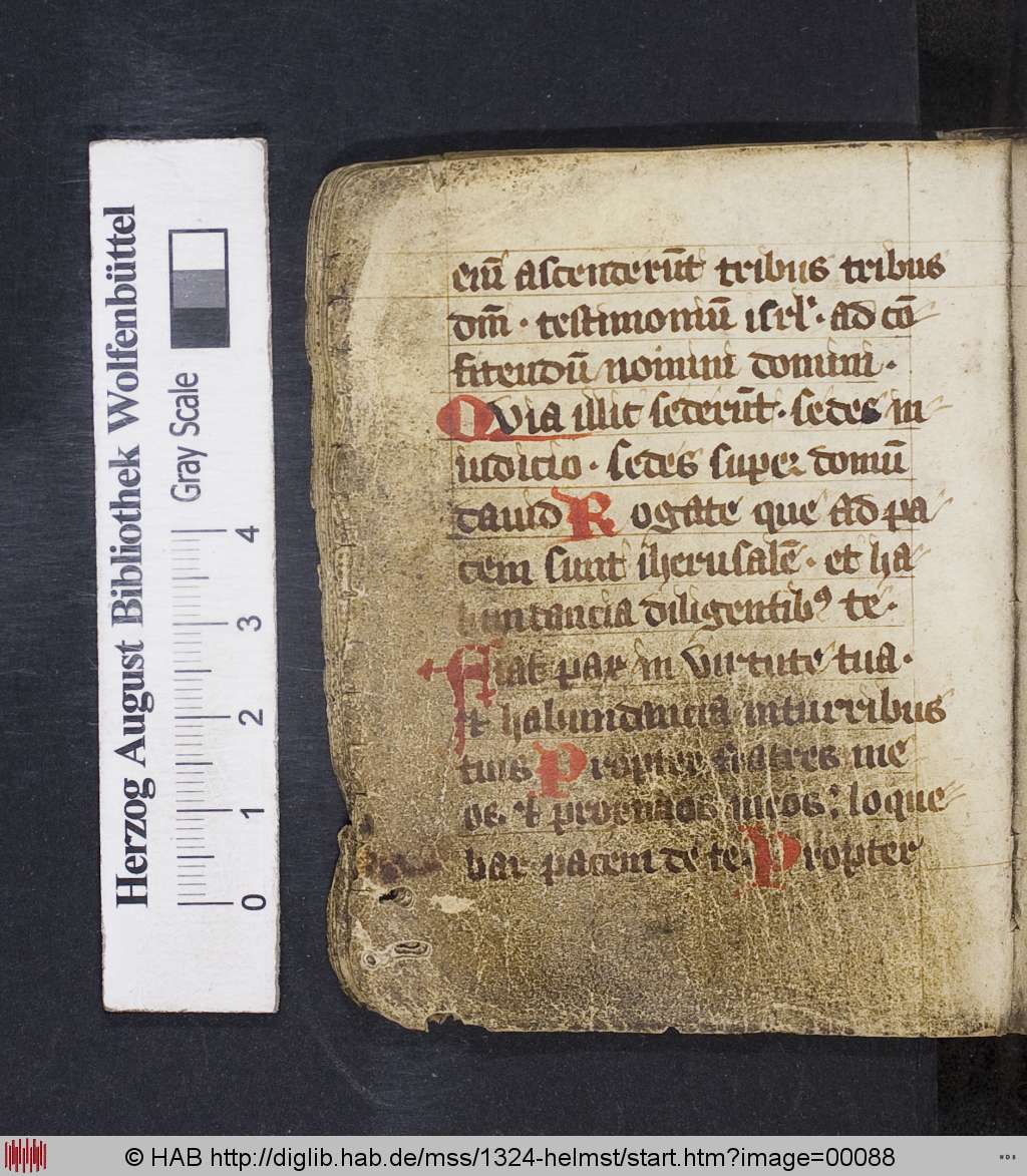 http://diglib.hab.de/mss/1324-helmst/00088.jpg