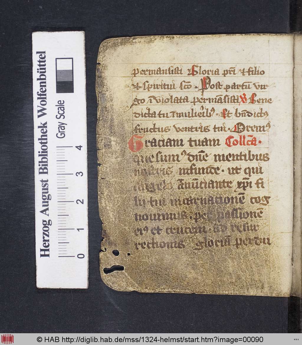 http://diglib.hab.de/mss/1324-helmst/00090.jpg