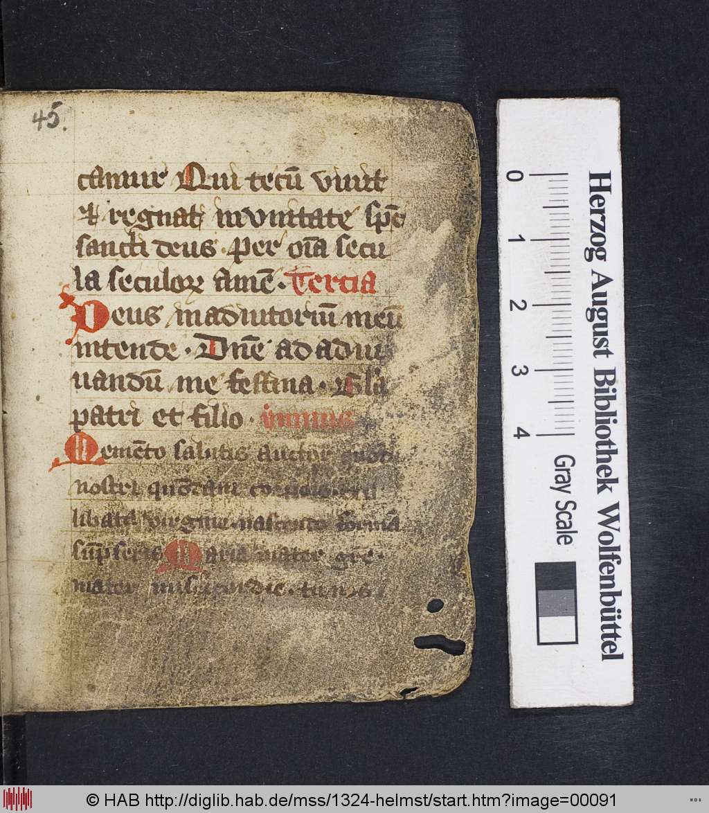 http://diglib.hab.de/mss/1324-helmst/00091.jpg