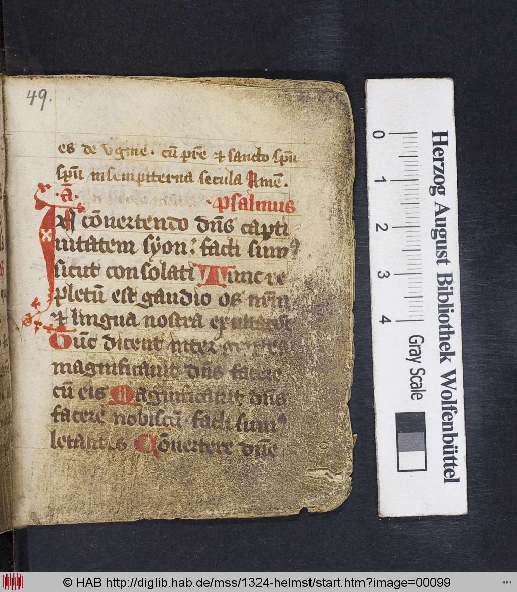 http://diglib.hab.de/mss/1324-helmst/00099.jpg