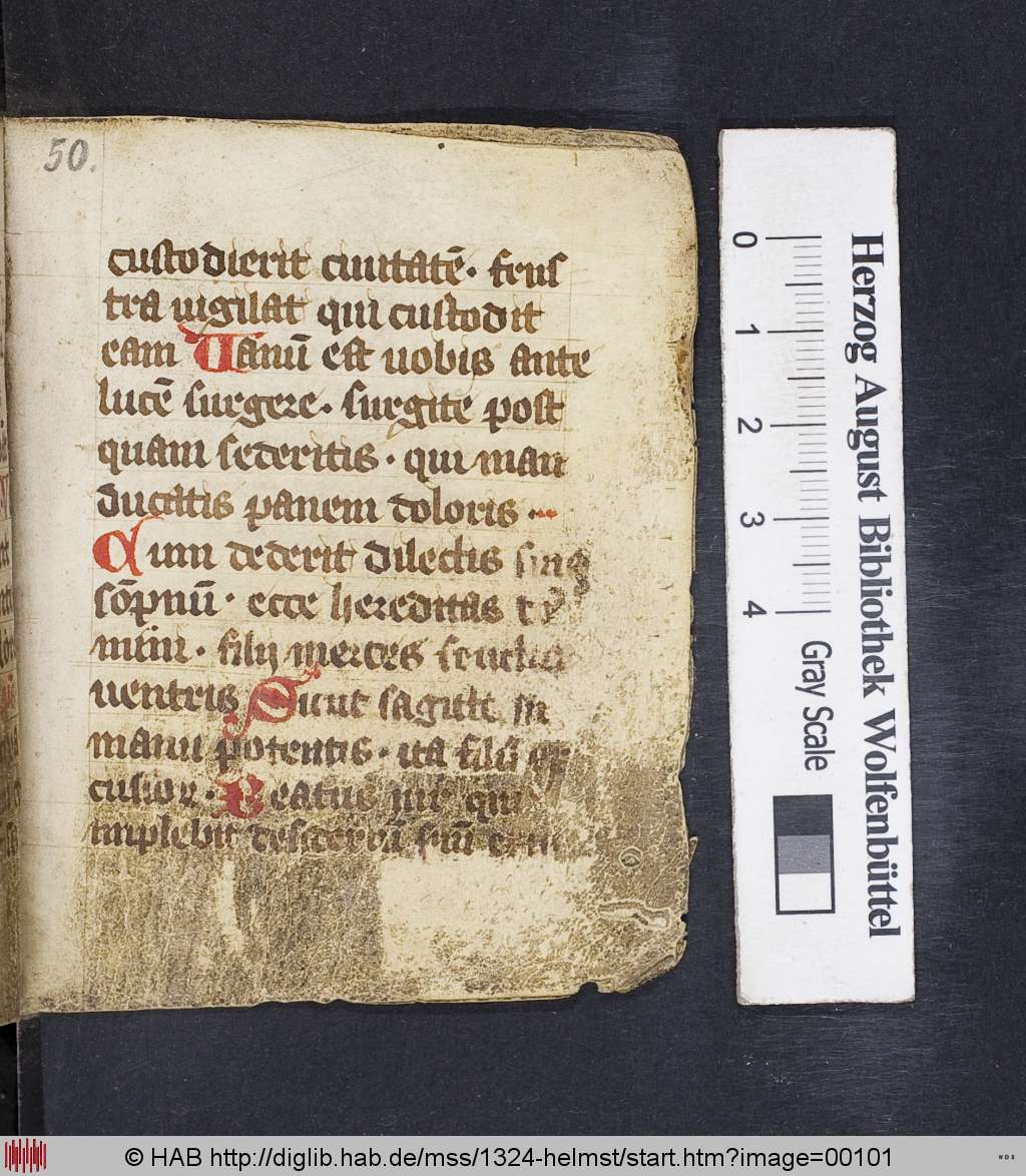 http://diglib.hab.de/mss/1324-helmst/00101.jpg