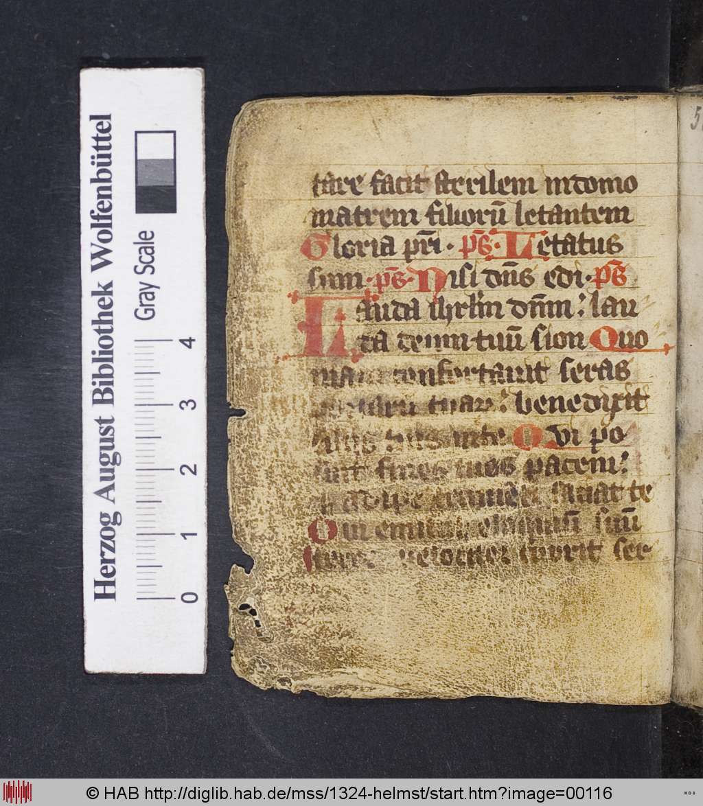 http://diglib.hab.de/mss/1324-helmst/00116.jpg