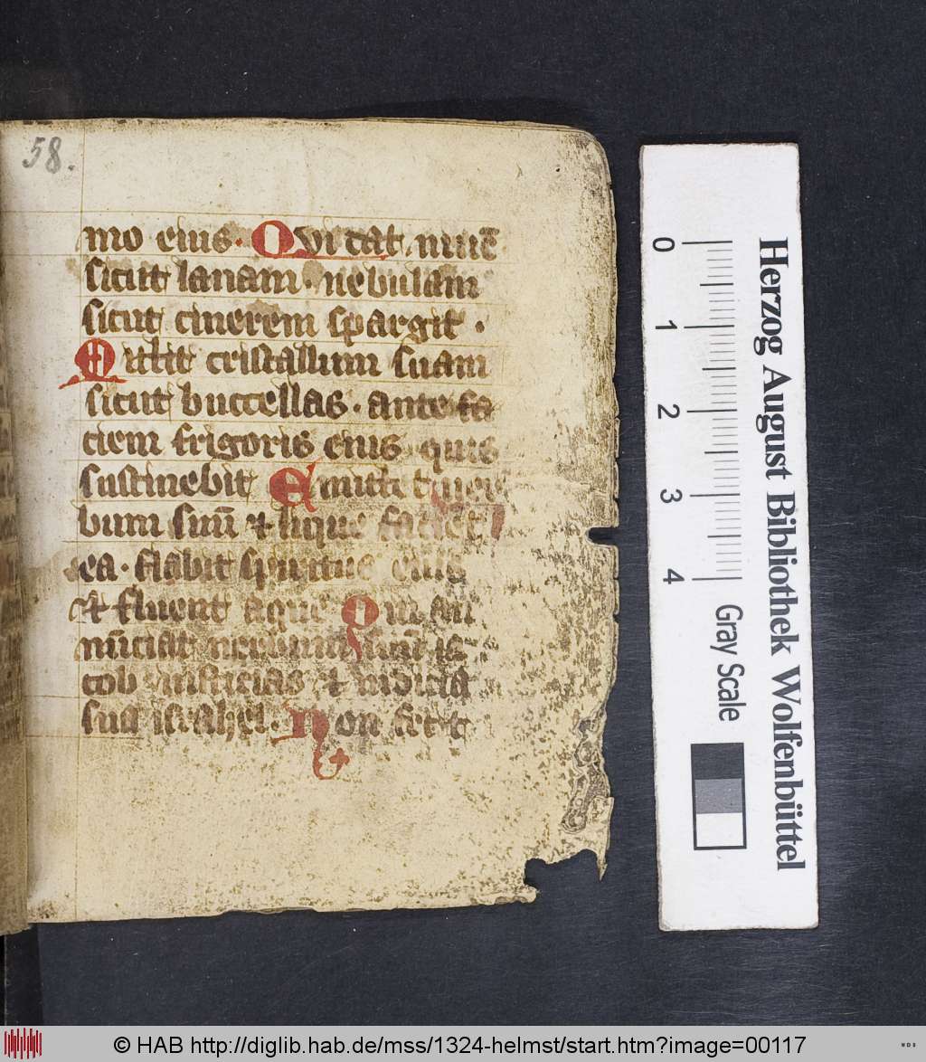 http://diglib.hab.de/mss/1324-helmst/00117.jpg