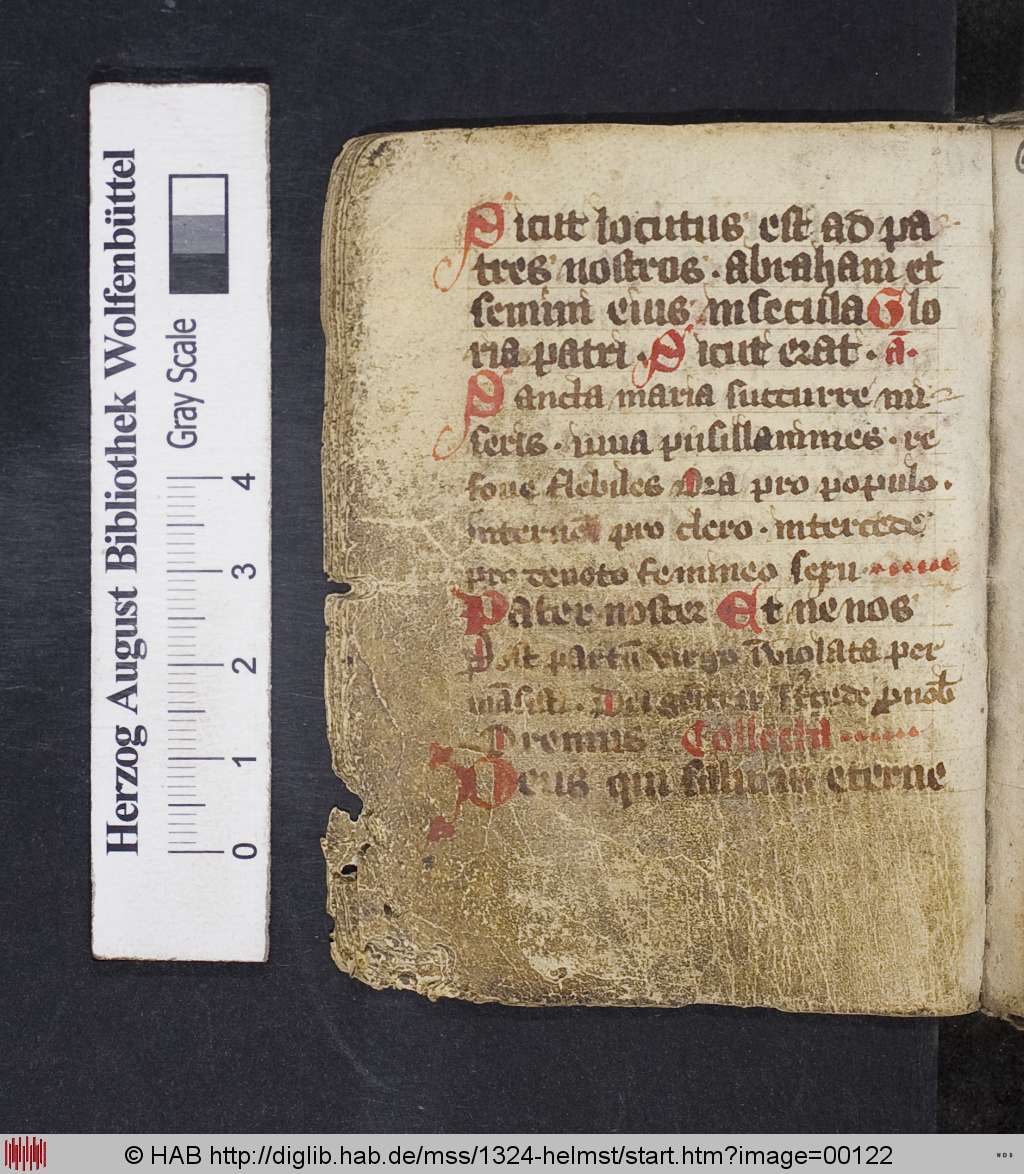 http://diglib.hab.de/mss/1324-helmst/00122.jpg