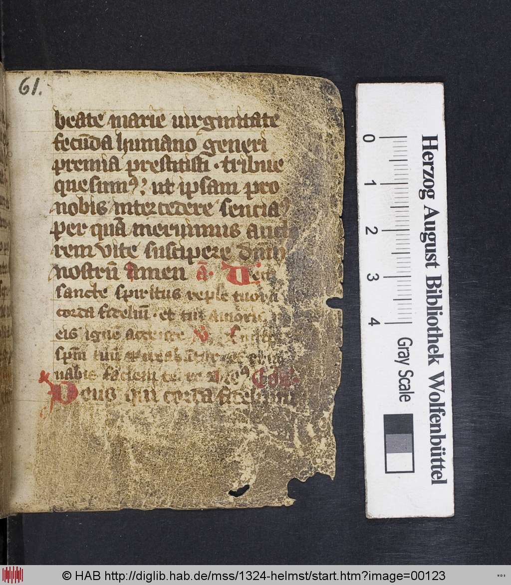 http://diglib.hab.de/mss/1324-helmst/00123.jpg