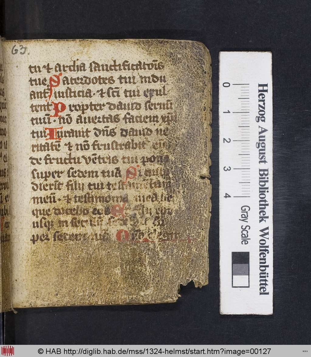 http://diglib.hab.de/mss/1324-helmst/00127.jpg