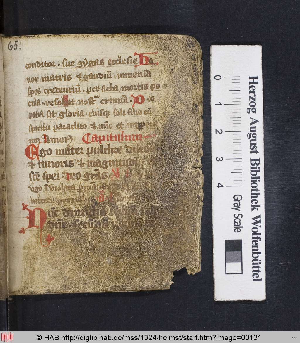 http://diglib.hab.de/mss/1324-helmst/00131.jpg