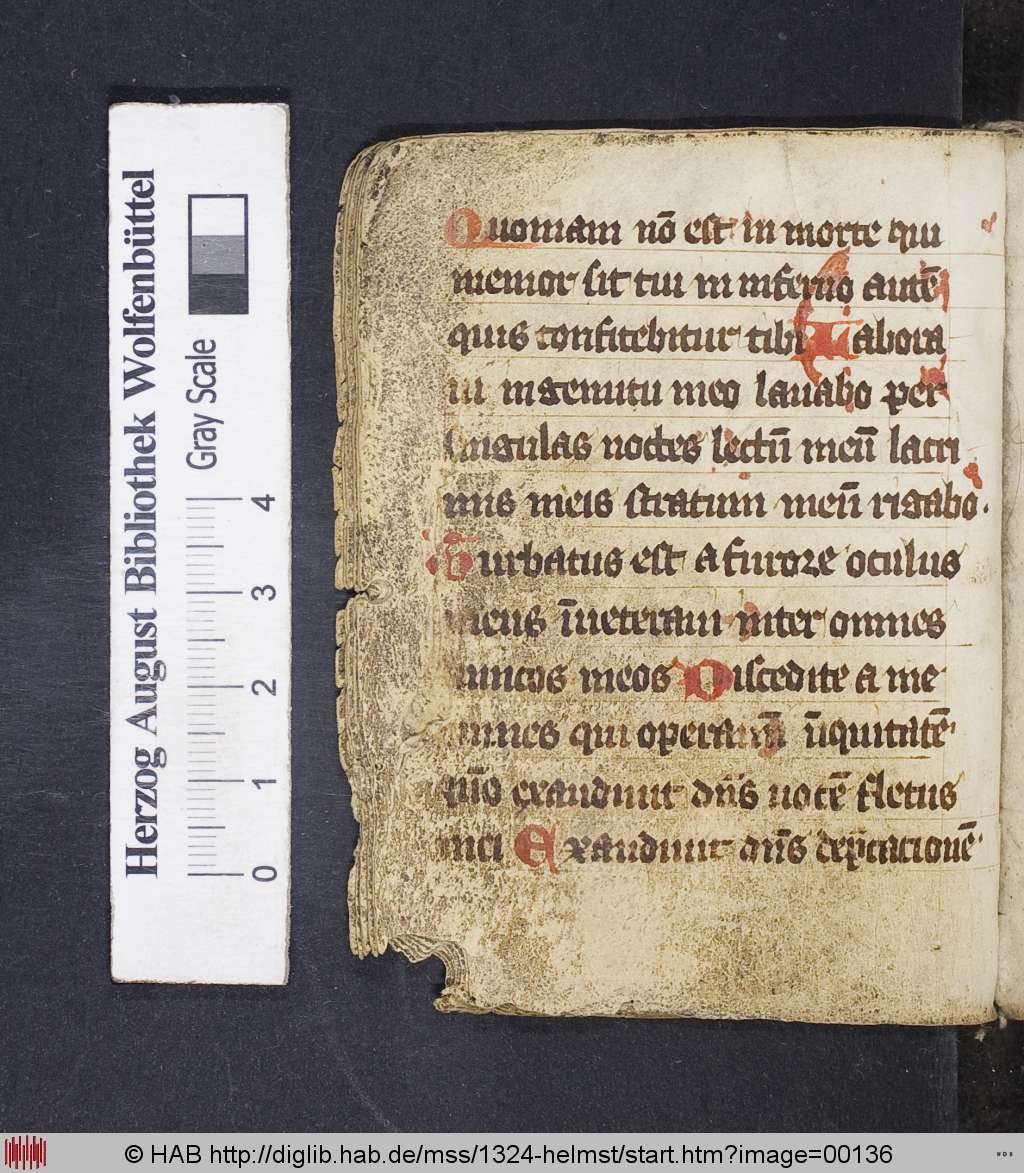 http://diglib.hab.de/mss/1324-helmst/00136.jpg