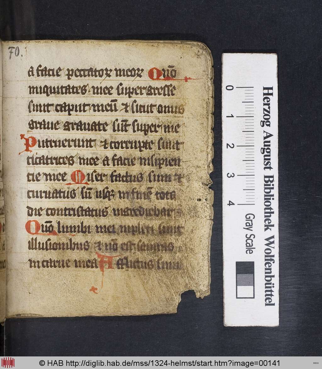 http://diglib.hab.de/mss/1324-helmst/00141.jpg